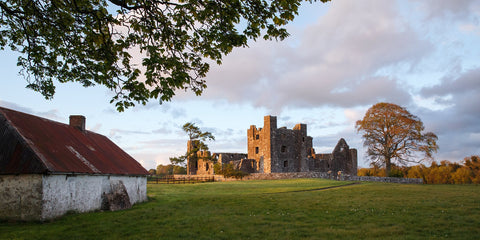 A beautiful May evening with the warm setting sun illuminating Bective Abbey.