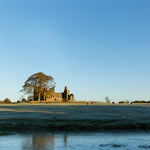 An early morning shot of Bective Abbey in the sunlight.