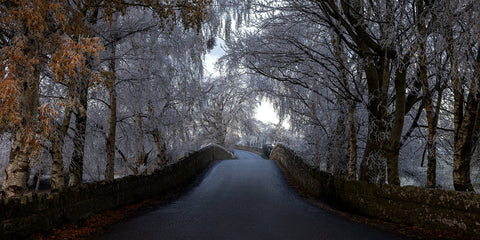 Bective Bridge with frosted trees during the cold snap of December 2022.