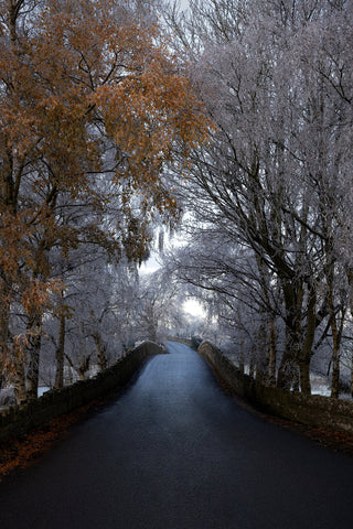 Bective Bridge with frosted trees during the cold snap of December 2022.
