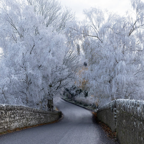 Bective Bridge during the cold snap of December 2022.