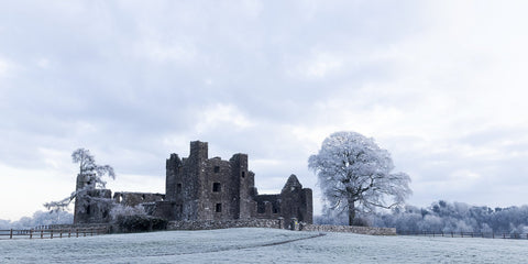 Bective Abbey with frosted trees during the cold snap of December 2022.