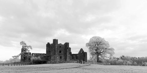 Bective Abbey with frosted trees during the cold snap of December 2022 in black and white.