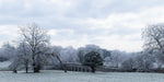 Winter at Bective Bridge with frosted trees during the cold snap of December 2022.