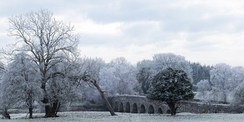 Bective Bridge with frosted trees during the cold snap of December 2022.
