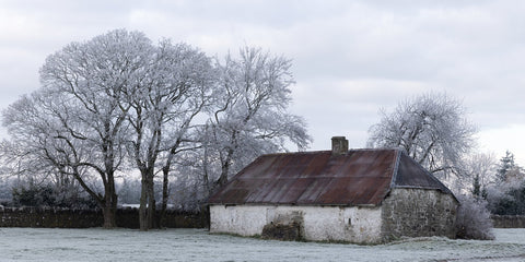 The derelict cottage at Bective Abbey.