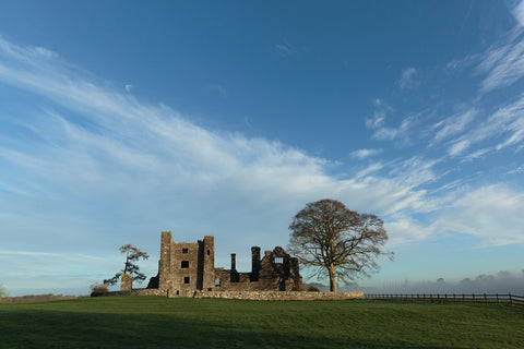 Bective 047