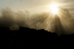 Bective 049
