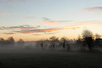 A foggy sunrise at Bellinter