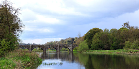 A view of Stackallen Bridge on the river Boyne towards Navan. This was shot in May, the trees are starting to fill out and the countryside is becomming greener.  Summer is on the way!