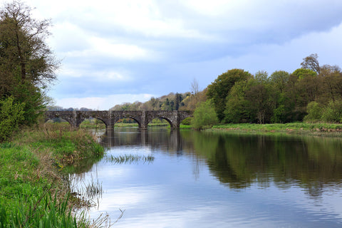 Bridge of the Boyne 005