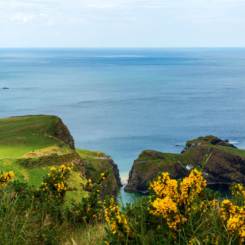 One of Antrim's most photographed attractions. The bridge links the mainland to Carrickarede island.