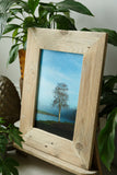 Tree by the Boyne at Bective#1.  12"x8"