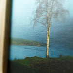 Tree by the Boyne at Bective#1.  12"x8"