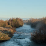 A foggy December morning at Kilcarn Bridge on the River Boyne.