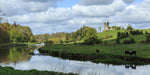 The river Boyne at Ardmulchan towards the ruins of Dunmoe castle basking in the morning sunlight