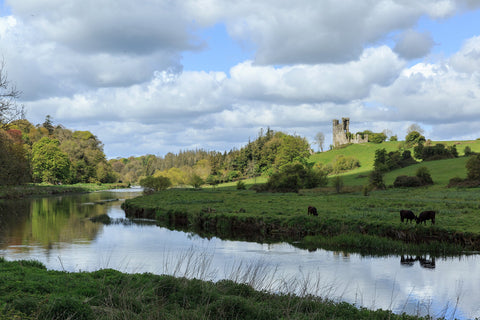 The river Boyne at Ardmulchan towards the ruins of Dunmoe castle basking in the morning sunlight.