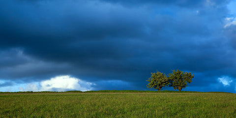 The Hill of Tara. Same Hill, different season, different light, different weather.  Always different and that's why I love it!
