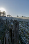 A wooden fence at Tara towards the hill.