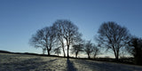 The low winter morning sun casts long shadows on the rolling hill. Tara is a place of outstanding natural beauty.