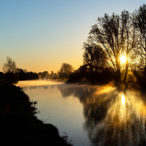 The sun rises over the River Boyne at Newtown, Trim. The trees and the sun reflecting beautifully off the surface of the river.