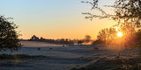 Sunrise in Trim.  Sheep graze. Fog lifts up of the river. Newtown ruins stands tall in the distance.